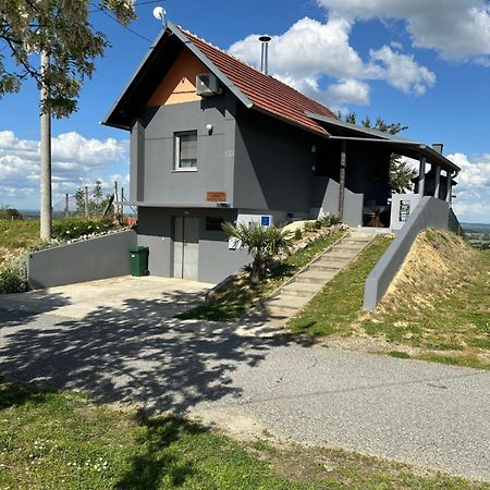 Villa Kuca Za Odmor Mare Sveti Martin Na Muri Exterior foto